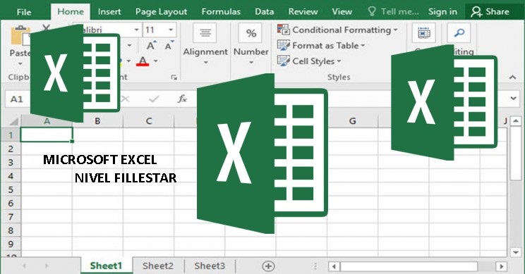 EXCEL-NIVEL BAZE
